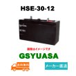 画像1: 【GSユアサ 】HSE-30-12 12V 30Ah (1)