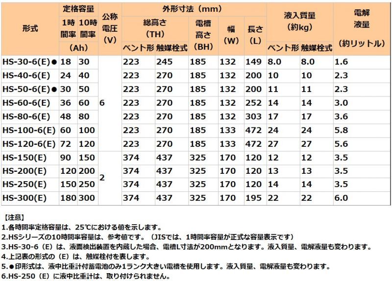  GS HS 100 6E 6V 100Ah 