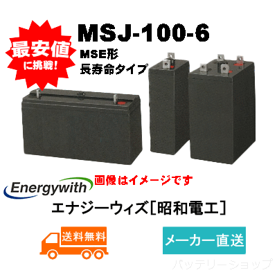 【エナジーウィズ】MSJ-100-6（昭和電工・日立化成・新神戸）6V 100Ah                                        [エナジーウィズ MSJ-100-6]